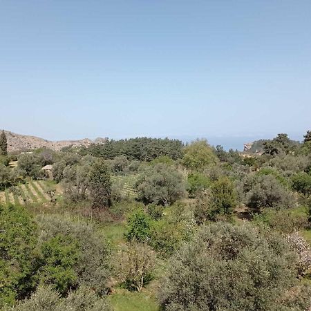 Christos Center Rooms Raches (Ikaria) Exterior foto