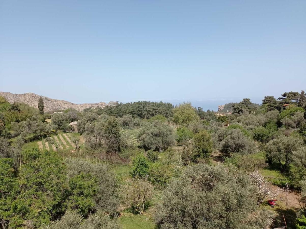 Christos Center Rooms Raches (Ikaria) Exterior foto